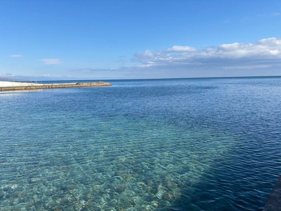 Морской отдых: как сохранить здоровье и насытить организм белком