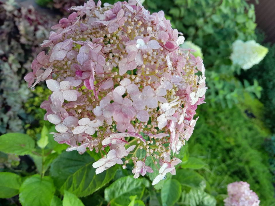 ���, ������� ���������� ����� �����: ������������ ���� ���������