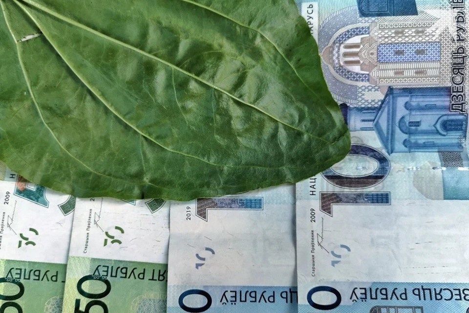 ����������� �� ������ ����� ������� ���������� ��-�� ��������� � ������