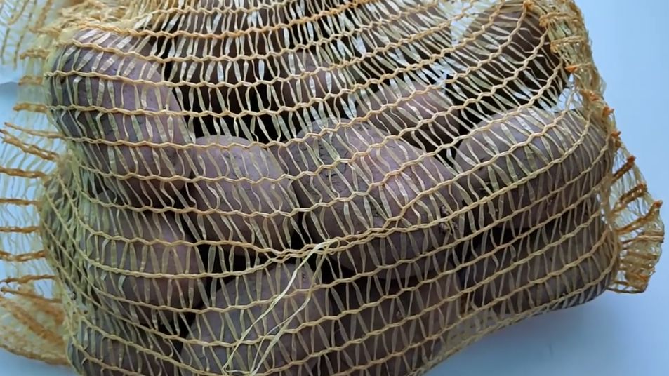 ������ ������� ��������� ����� �������� ��� ������: ������� ����� � ����� ������� ���������