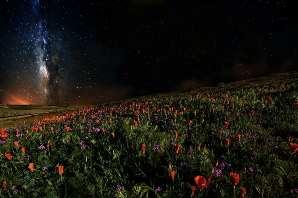 ������ �������� ������� ������� �����: ������� �� ������ �����