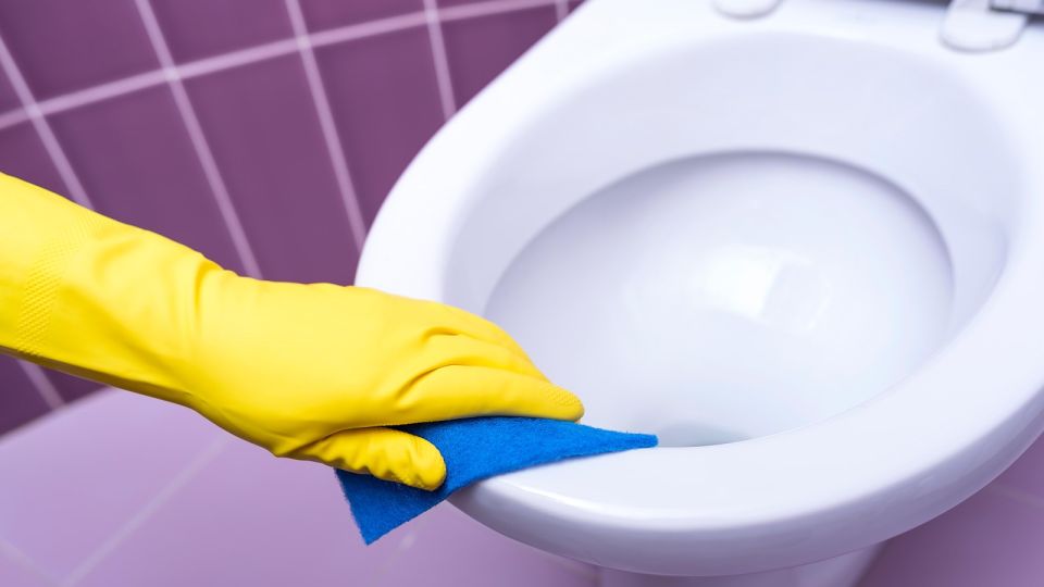 ������ ���� ���������� ��������� ������� ������: ������ �������� ����� �������