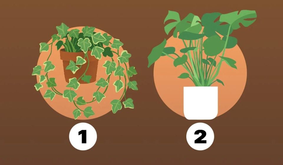 ��� ������ ���������� ������ �������� � ���������� �����