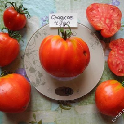 ����� ������� ����: �������� � ������ �� ����� �������