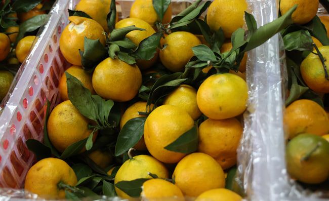 �� ����� ����� ���������� ������ ��������� ����������