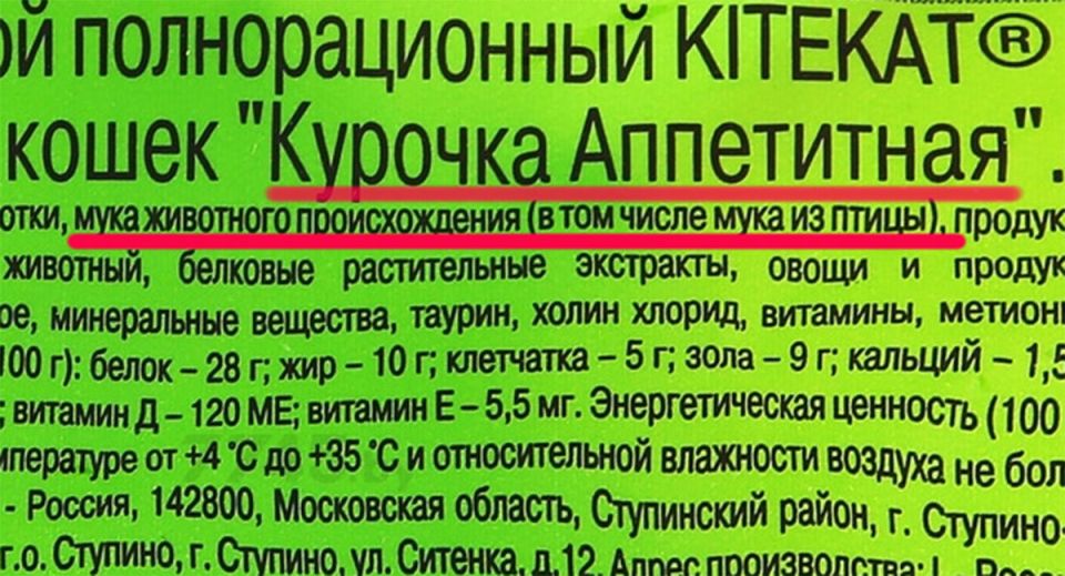 ��� ������� ������������ ������� ����: ������, ������� ���� �����