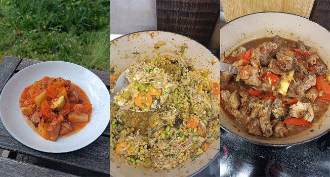 ������ ����: ���������� ��������� ��� �������