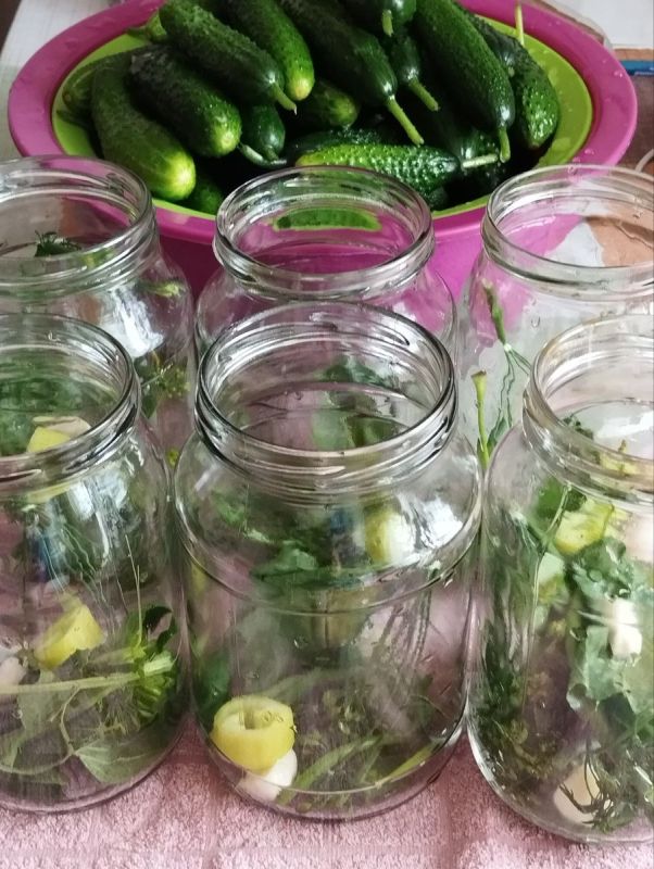 ��� ����������� ��������� ������������ ������: ������� ���� � �������� ����������