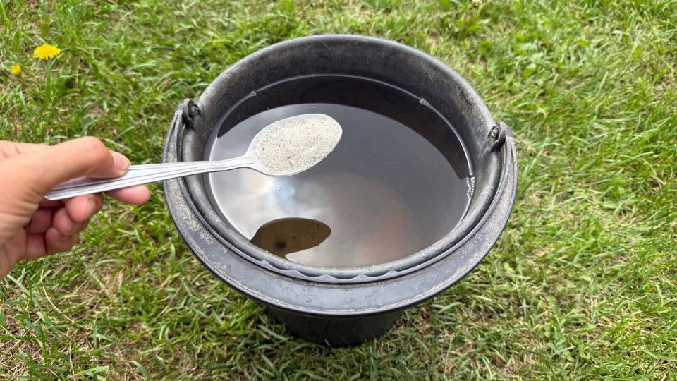 Секрет быстрого избавления от сорняков: всего одна ложка в ведре воды