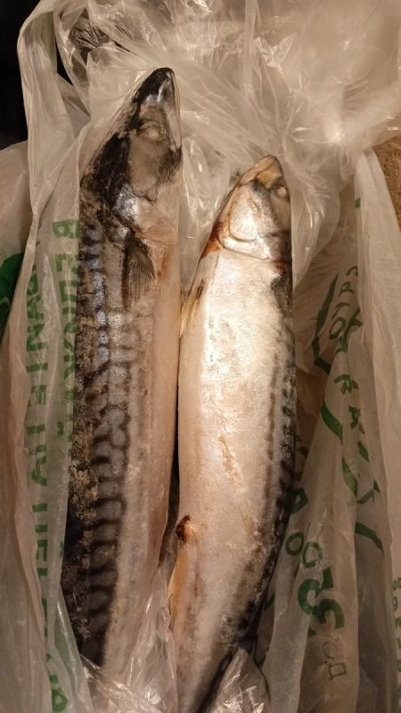 Как чек раскрыл обман в рыболовном магазинчике и что из этого следует