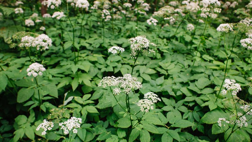 ������������� � ������: ��� ������ ���� ������ ���������� ����