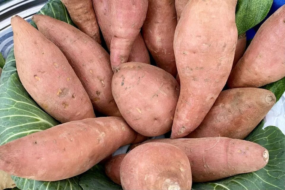 ������ ����� �����������, ������� ������� �������� ������