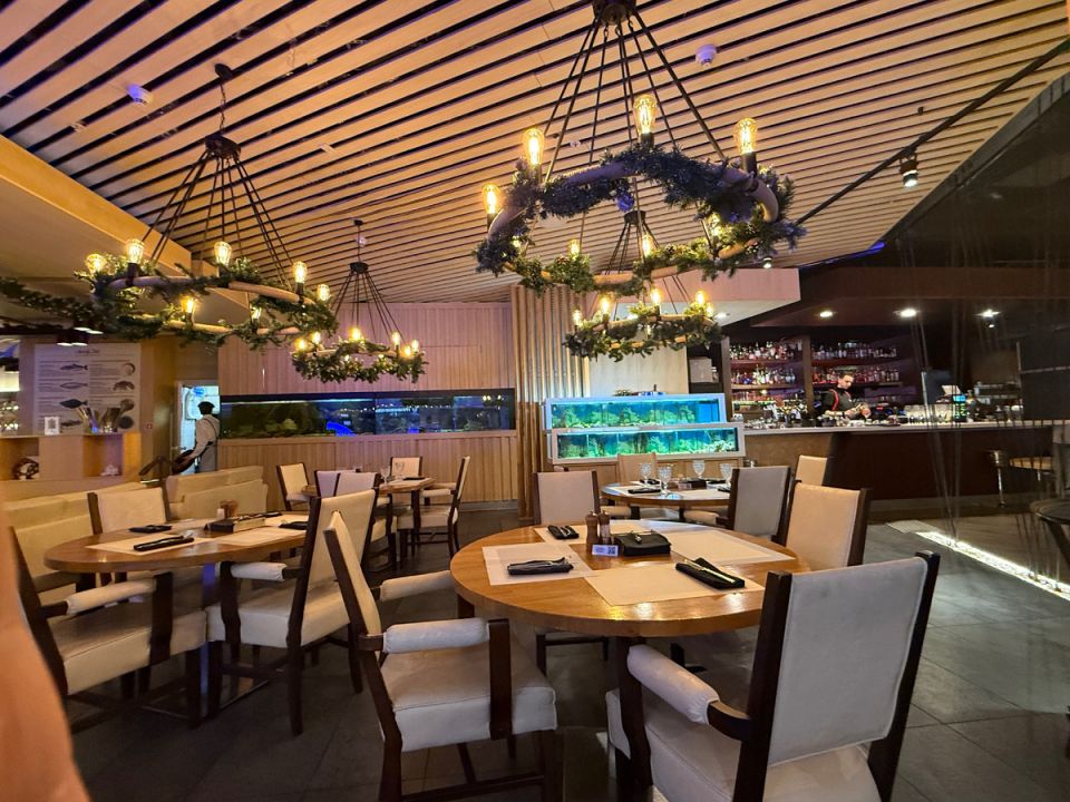 ������ ���� � ���� � ����: ��������� �����-���� � ������ �� ������