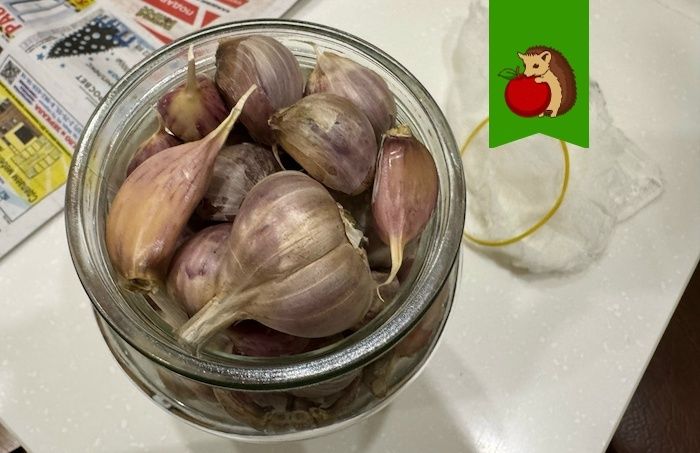 Чеснок пророс при хранении и можно ли его есть