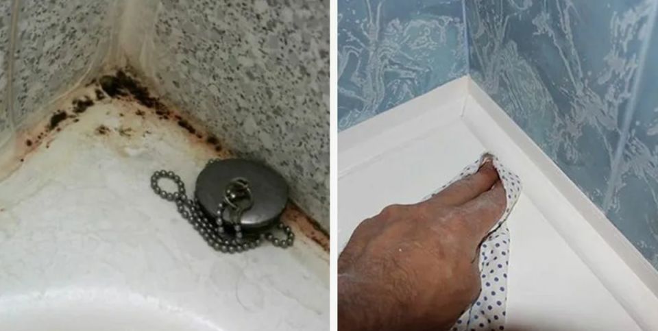 Плесень в ванной перестала тревожить: как уксус и простые средства работают сегодня