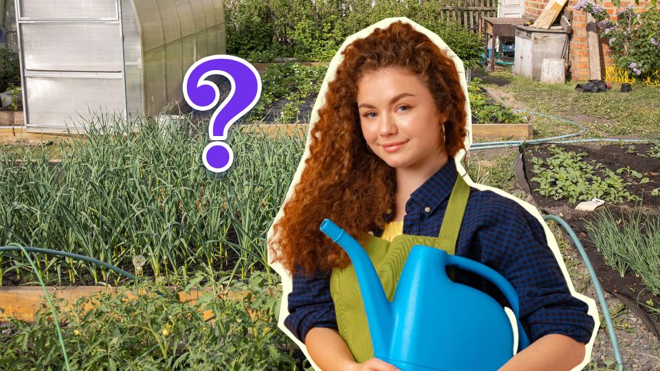 �� ��� �������� ��� ������ ���������: ��� �� ���� ������ ��� ��������