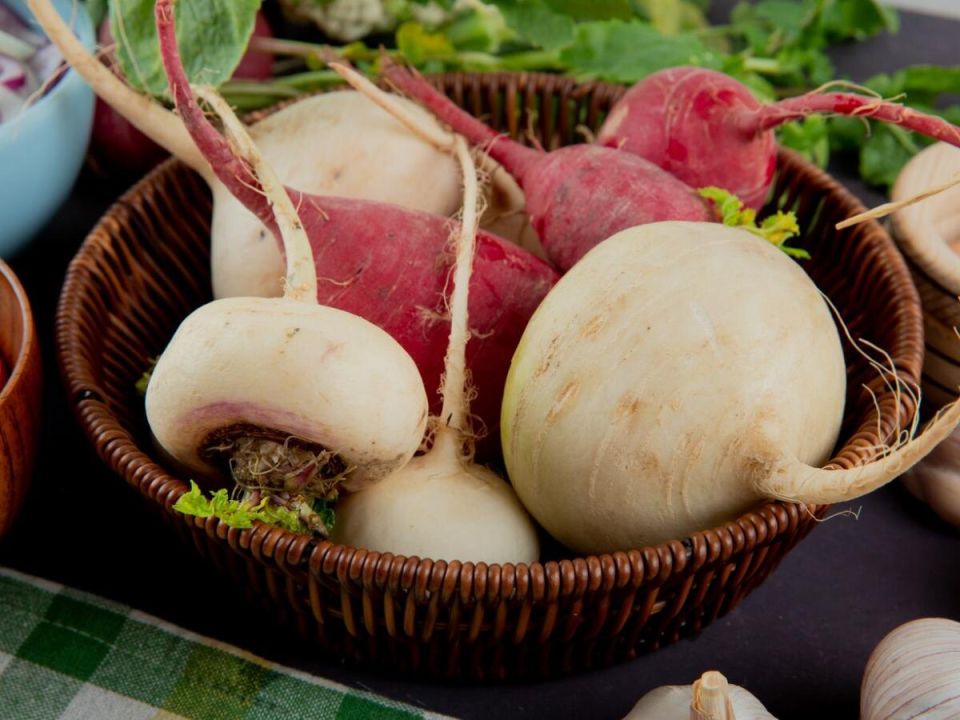 ��������� ������: ������� ��������� ����������� � 2024 ����