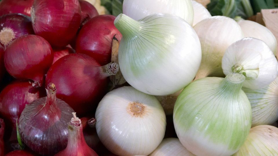 ������ ���� �������� ���� ����� ���: ������ �������� ��� ���� ���������