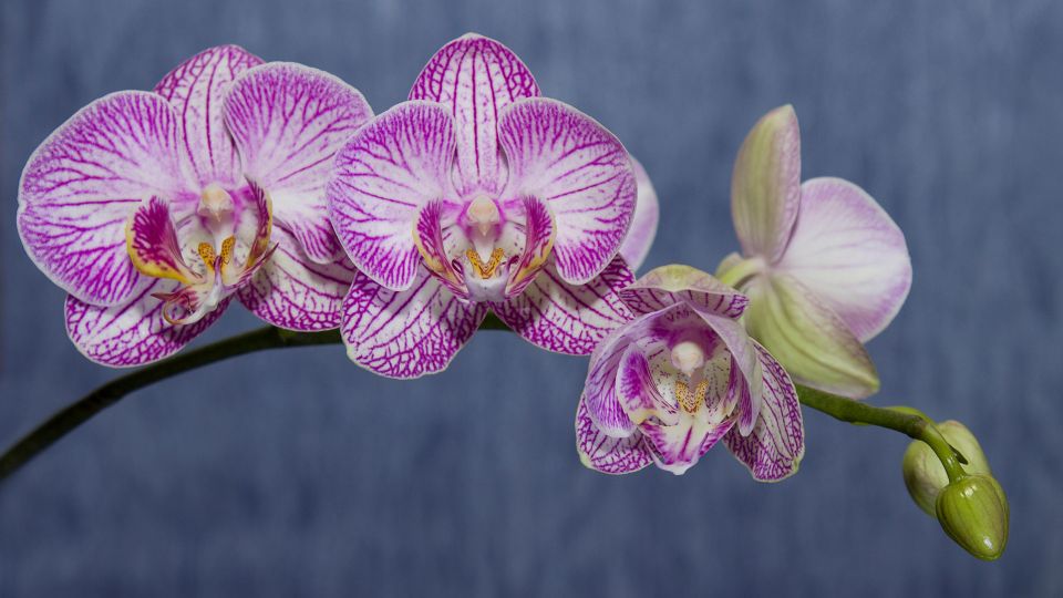 ������ ���������� � ��������: ������� �� ��������� ��������� � ����� ������