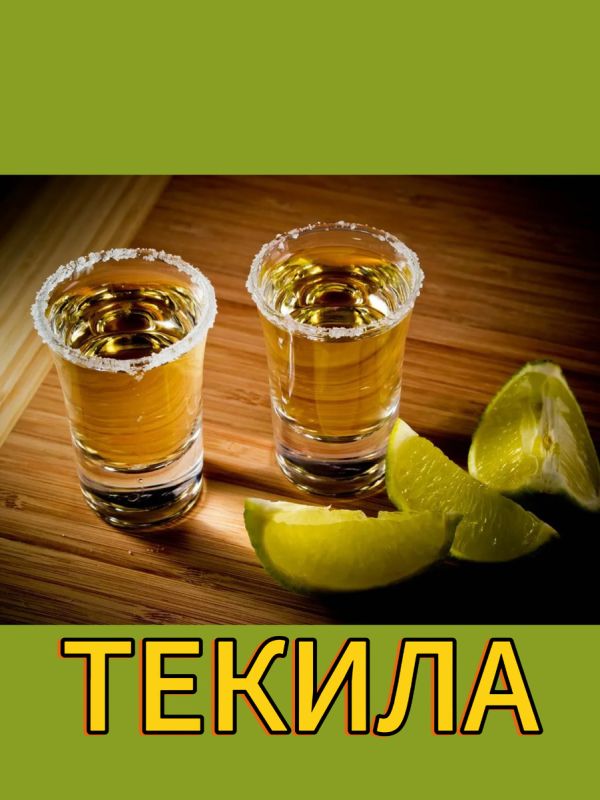 ������: ���������� � �������� � �������� ������������� �������