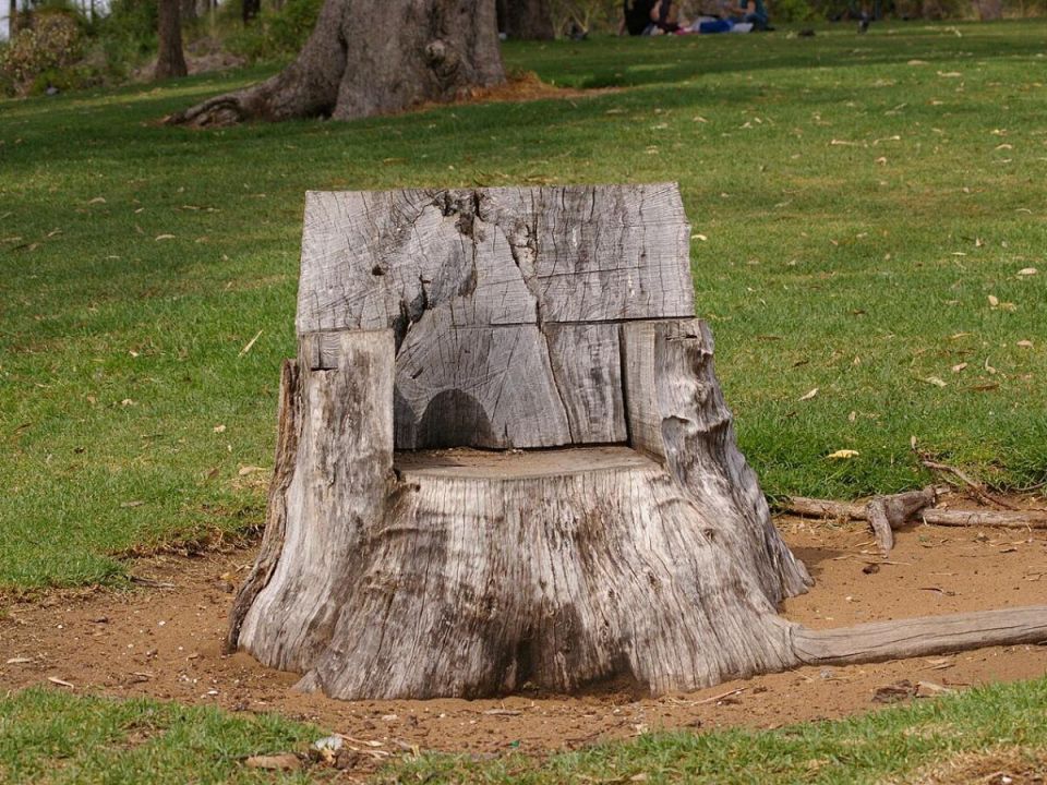 ��� ������ ���: �������, ������� �������� ���� ��� ������ � ���������