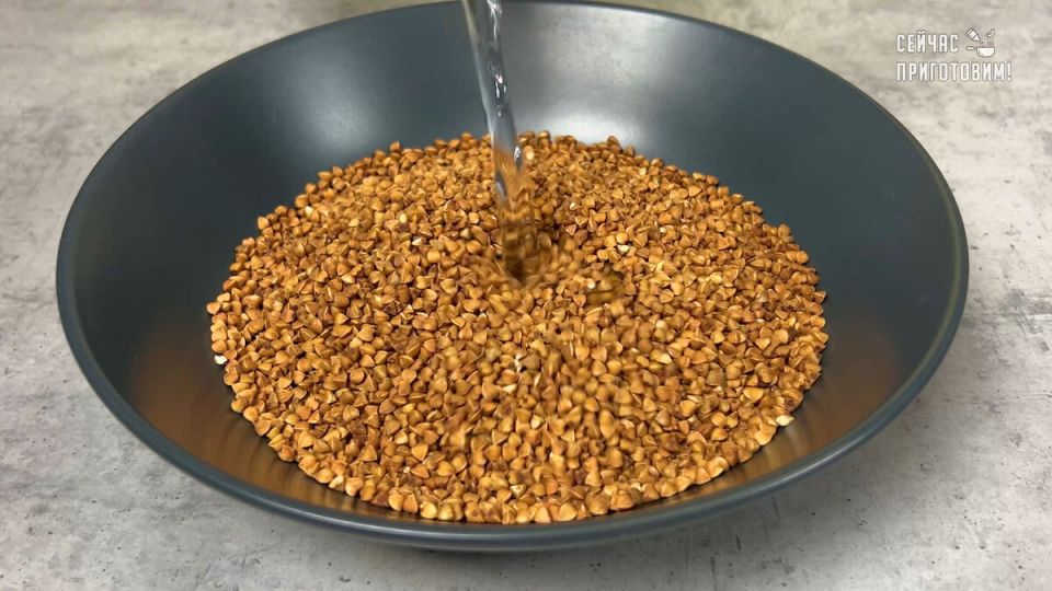 ������ � ��������: ������� � �������� ����, ������� �� �������