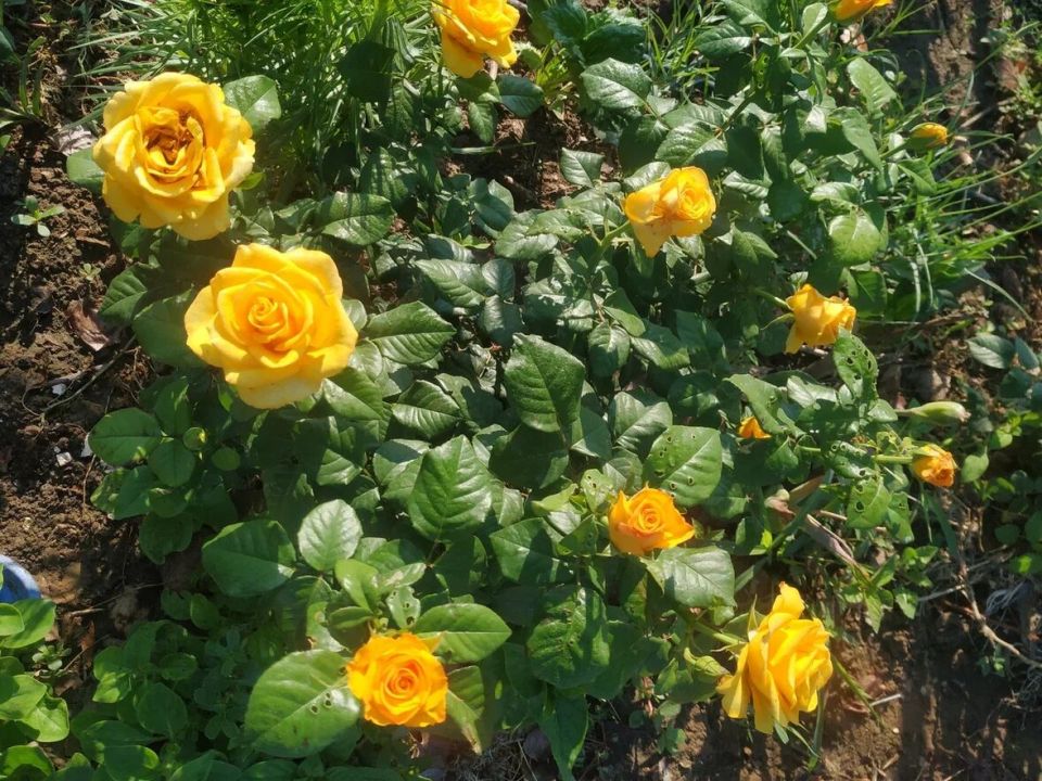 ����� ������ ����: ����� ��� �����? ������ � ���������