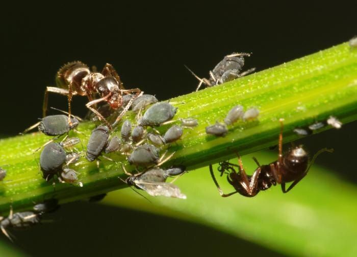 ����������� ������ ������ � ��������� �� ����� �������