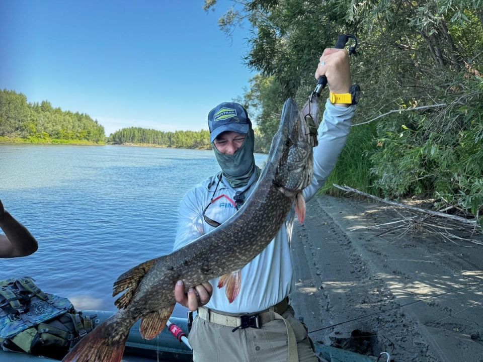 ��������� � ���? ���, ��� ������ ����!