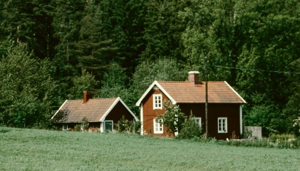 ��� �������� ���� ����� ��� ����������� ����������� �������