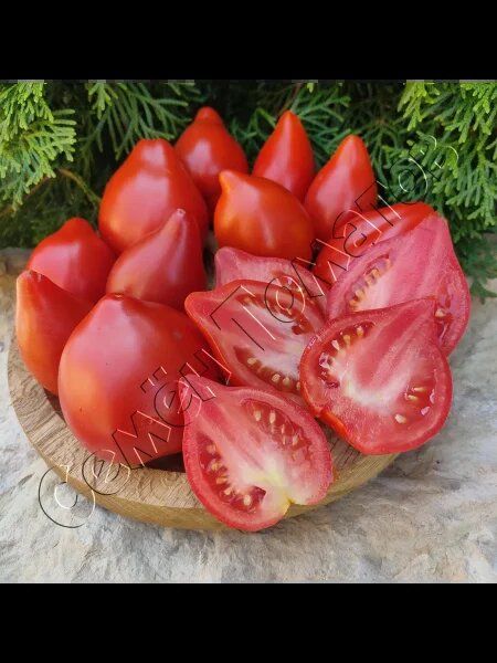 Томат Мимоза: секреты урожайности и восхитительного вкуса на вашем столе