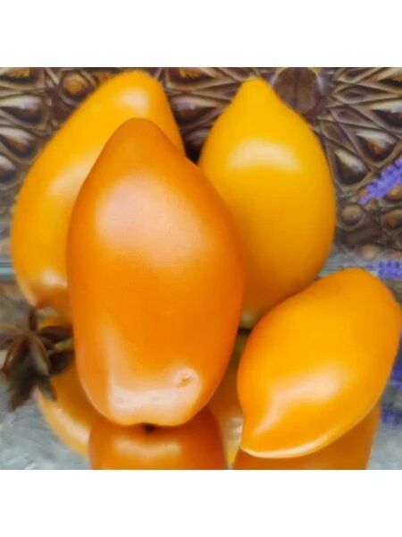 Томат Калькутта: как получить крупные оранжевые помидоры с настоящим вкусом