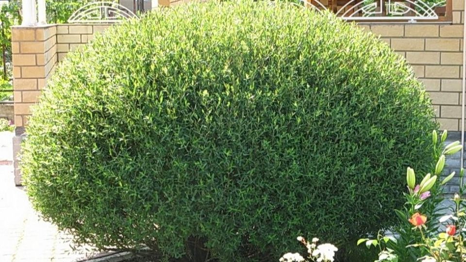 ���������� ��� �����: 6 ������ ��������� ��� ������ �������