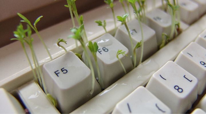 ����������� ������� ������� ����������: ������ ��� ������� ������������