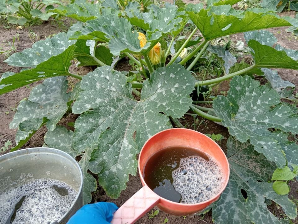 ��� �������� ��������� ����� ���������� ��������� ������ ��������