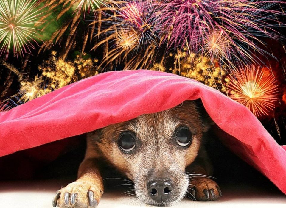 ��� �������� ������ �� ����������� � ���������� ����