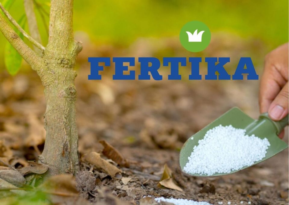 Как выбрать комплексные удобрения для ваших растений