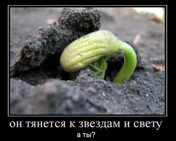 ������� ��������� ���� � ������������: ��� �������� ��������