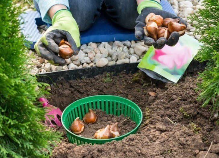 ����������� �������� ��� ������� ������