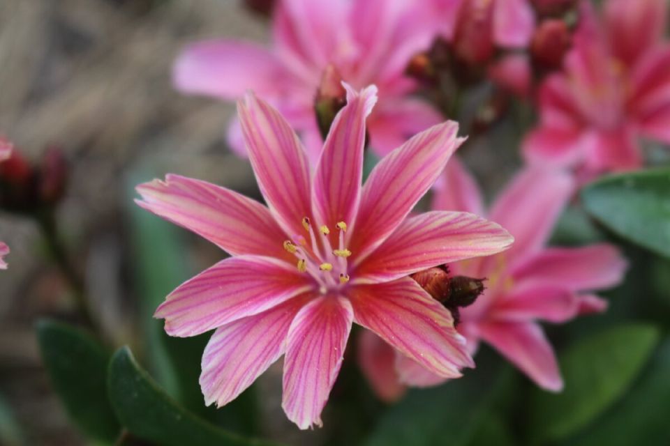 �������: ������� ������ � ����� ����