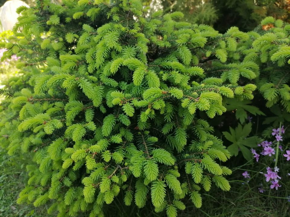 ���������� ������ ��� ������ ���� � ���������