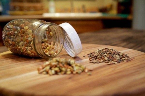 Подготовка семян к посеву: секреты для урожая