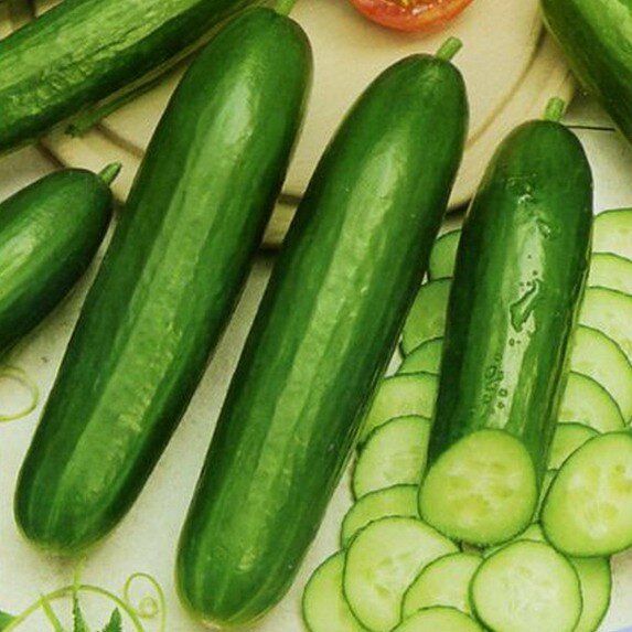 ��� ��������� ������ ������: ������� �� �������� ����������