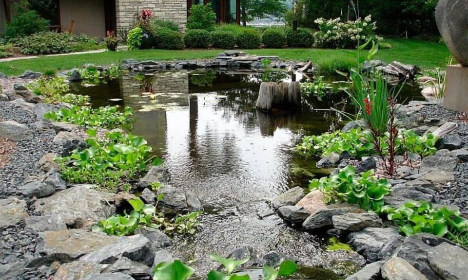 ��� ������� ��������� ������ �� ����� �������