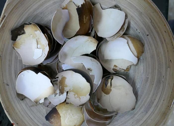 ������ �������� ��� ������������� �������� ��� �������