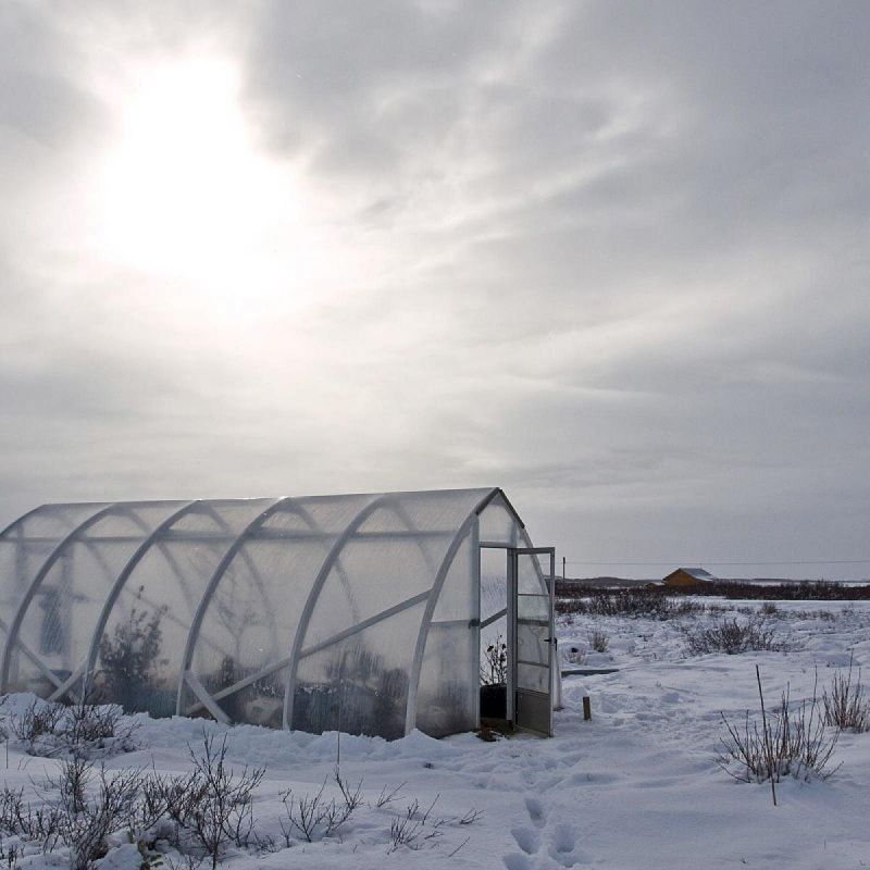 ��� ���������� ����������� ������� � ��������� ������