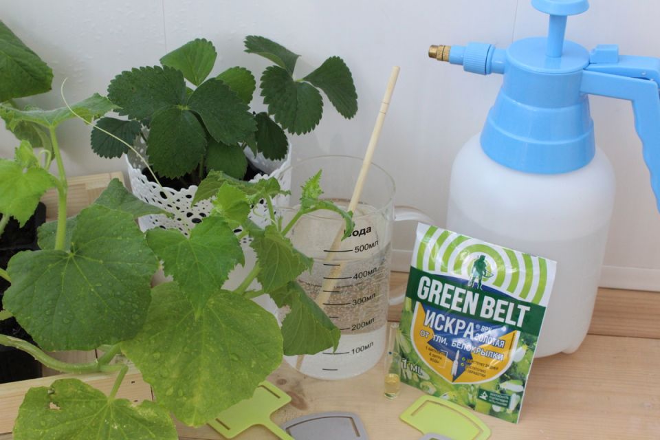 Мощный инсектицид, который спасет ваш сад от восьми вредителей